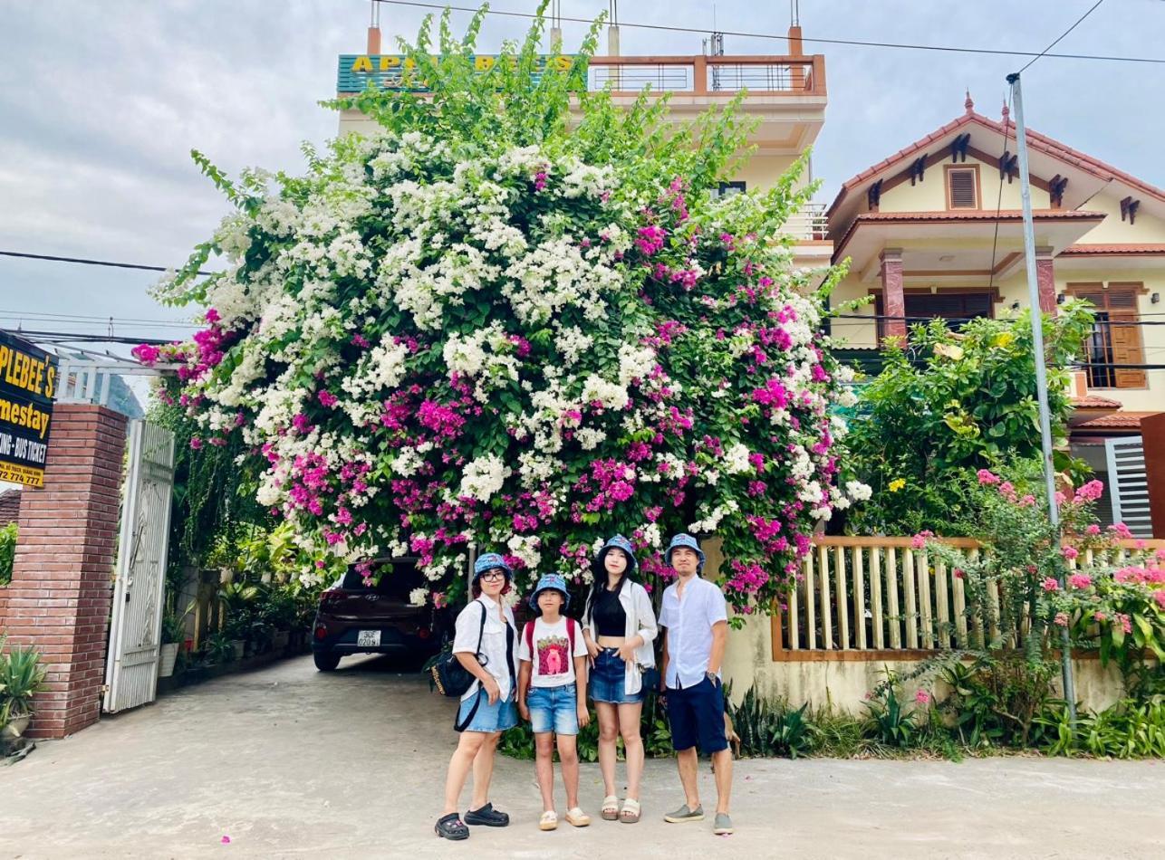Applebee'S Homestay Phong Nha Exteriér fotografie